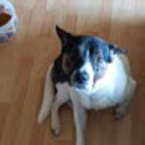 Meet your Posher, Devona